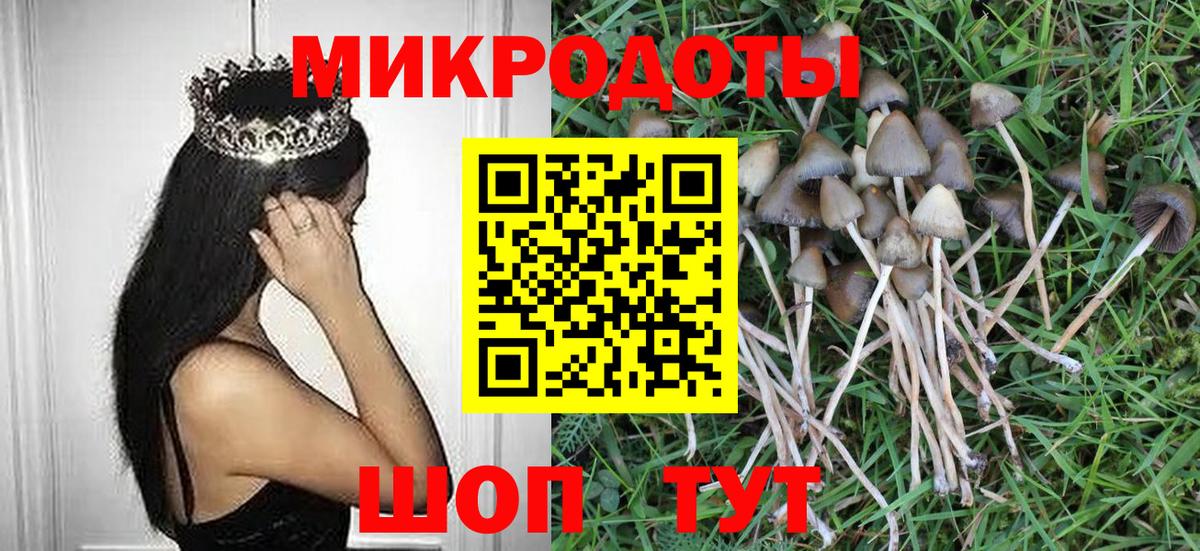Гусь-Хрустальный  Псилоцибиновые грибы Psilocybe  Псилоцибиновые грибы MAGIC MUSHROOMS  Вход с VPN 