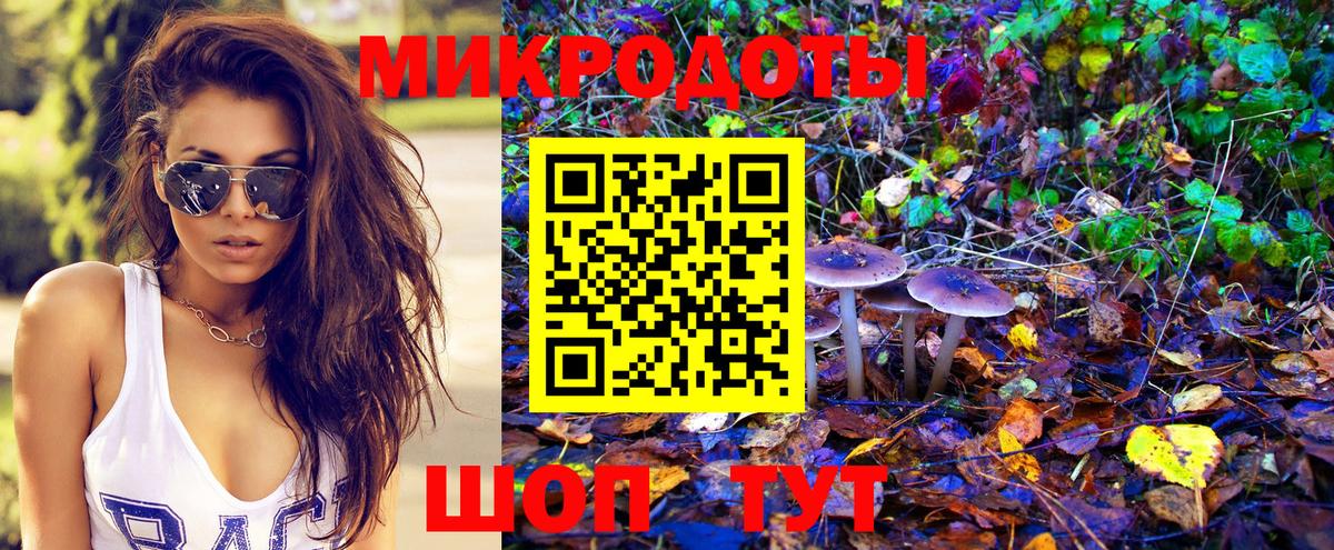 Галлюциногенные грибы Psilocybine cubensis Гусь-Хрустальный